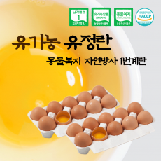 [소중란] 유기농 동물복지 자연방사 유정란 20알